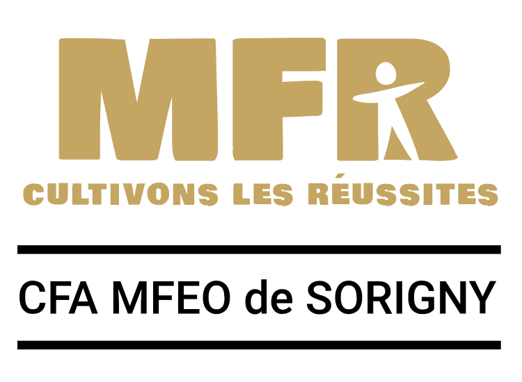 Logo CFA MFEO